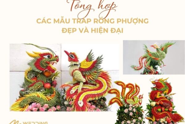 mau-trap-rong-phuong-an-hoi