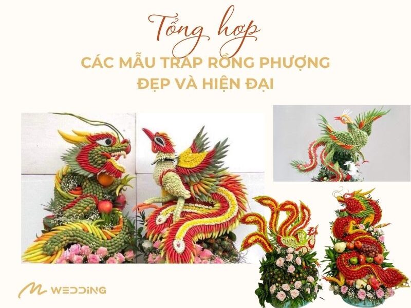 mau-trap-rong-phuong-an-hoi