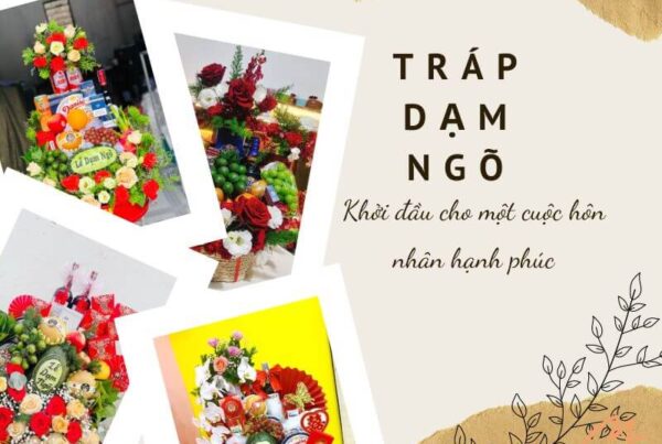 trap-dam-ngo