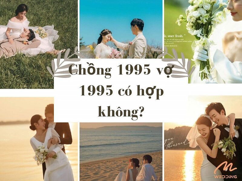 Xem Tuổi vợ chồng 1995 có hợp nhau không?